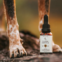 Pet Care 10mg Full Spectrum