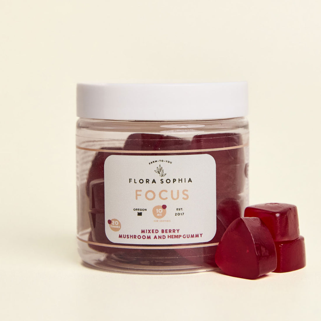 20 CT FOCUS Mushroom & Gummies